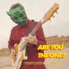 Shirts and Skins - Are You the One? - Single